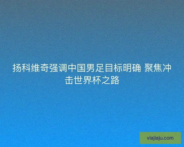 扬科维奇强调中国男足目标明确 聚焦冲击世界杯之路