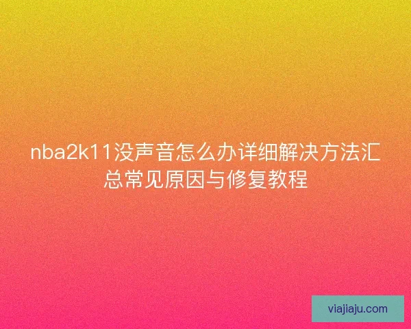 nba2k11没声音怎么办详细解决方法汇总常见原因与修复教程