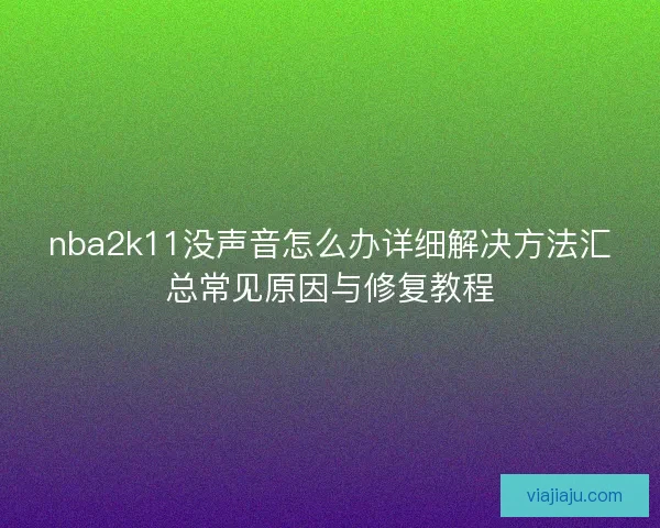 nba2k11没声音怎么办详细解决方法汇总常见原因与修复教程