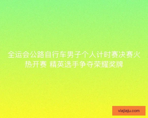 全运会公路自行车男子个人计时赛决赛火热开赛 精英选手争夺荣耀奖牌